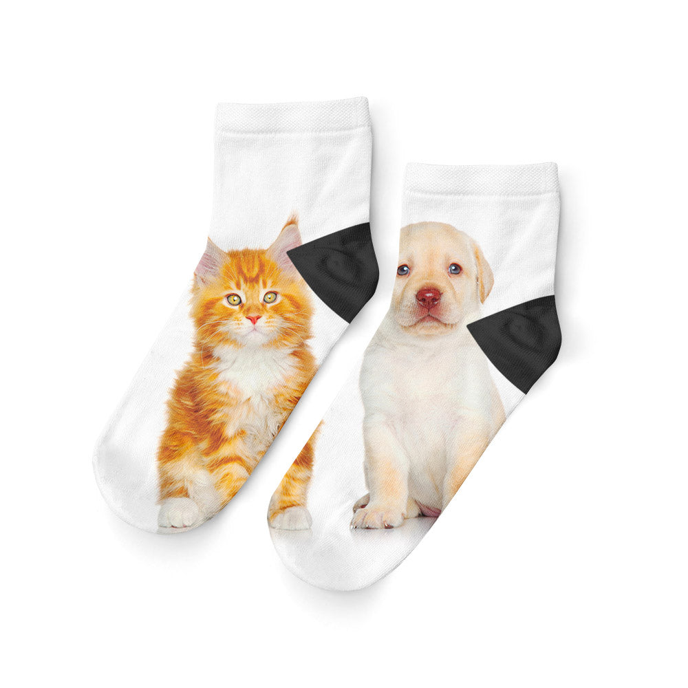 Kedi - Köpek Patik Çorap