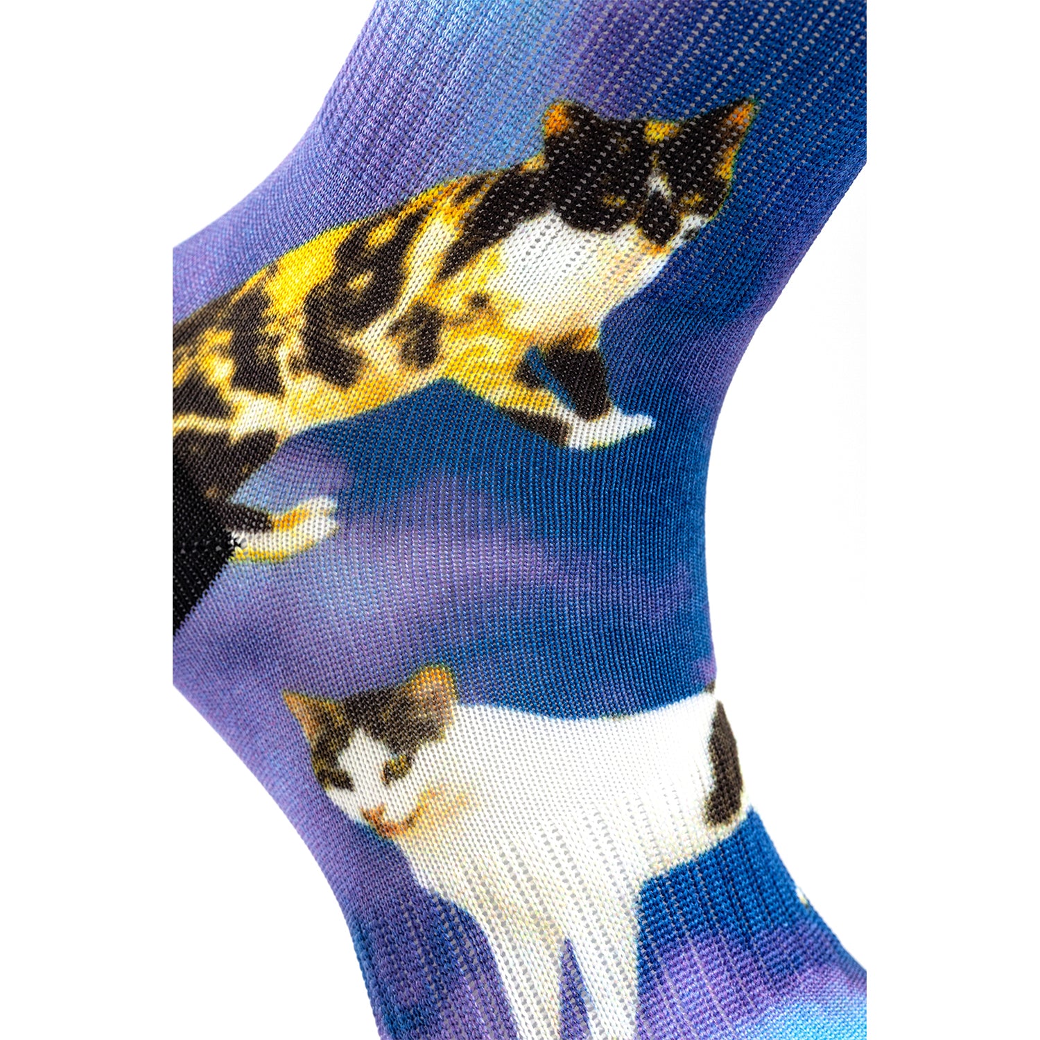 Kediler 360 Dijital Baskılı Çorap